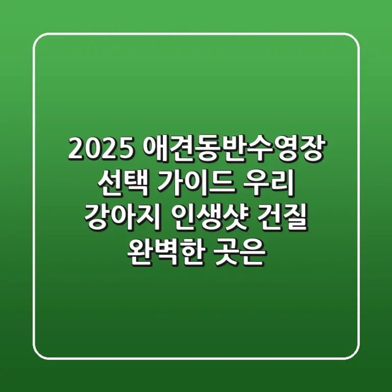2025 애견동반수영장 선택 가이드: 우리 강아지 인생샷 건질 완벽한 곳은?