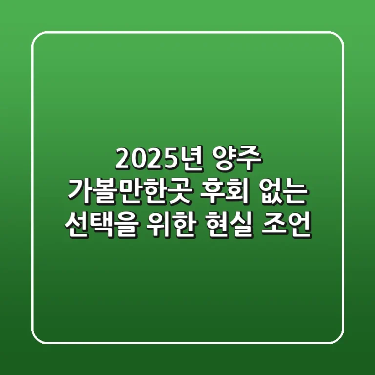 2025년 양주 가볼만한곳, 후회 없는 선택을 위한 현실 조언