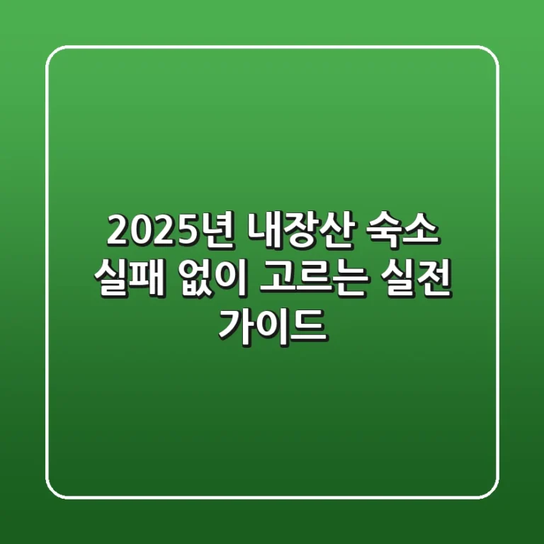 2025년 내장산 숙소, 실패 없이 고르는 실전 가이드