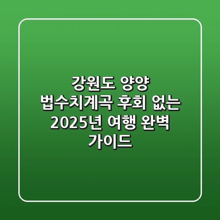 강원도 양양 법수치계곡, 후회 없는 2025년 여행 완벽 가이드
