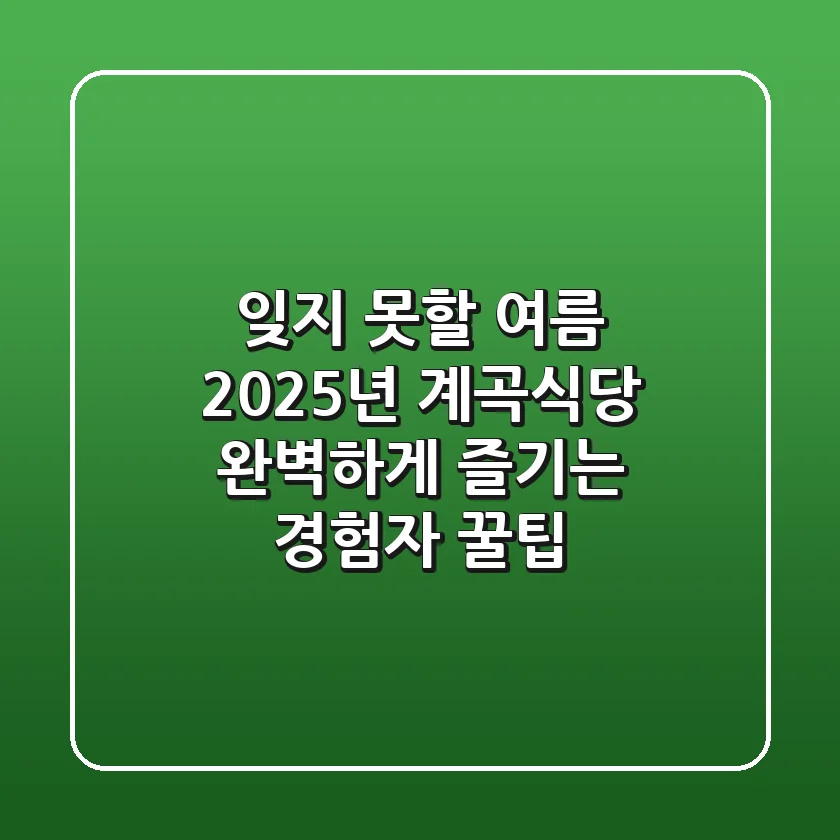 잊지 못할 여름, 2025년 계곡식당 완벽하게 즐기는 경험자 꿀팁!
