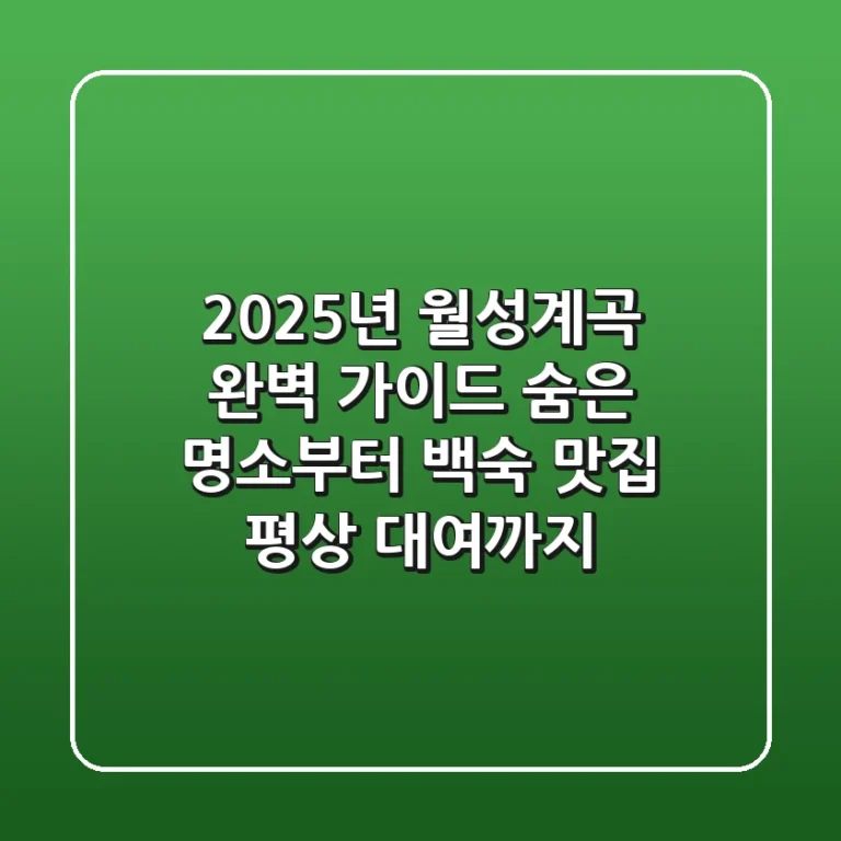 2025년 월성계곡 완벽 가이드: 숨은 명소부터 백숙 맛집, 평상 대여까지