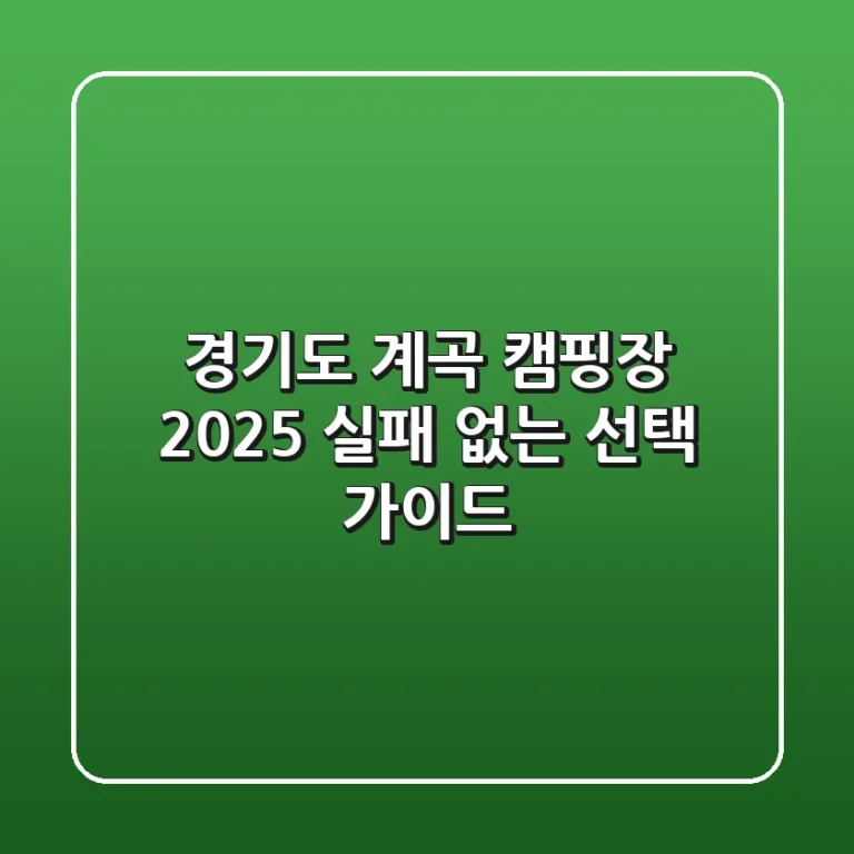경기도 계곡 캠핑장 2025: 실패 없는 선택 가이드