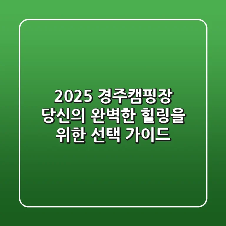 2025 경주캠핑장, 당신의 완벽한 힐링을 위한 선택 가이드