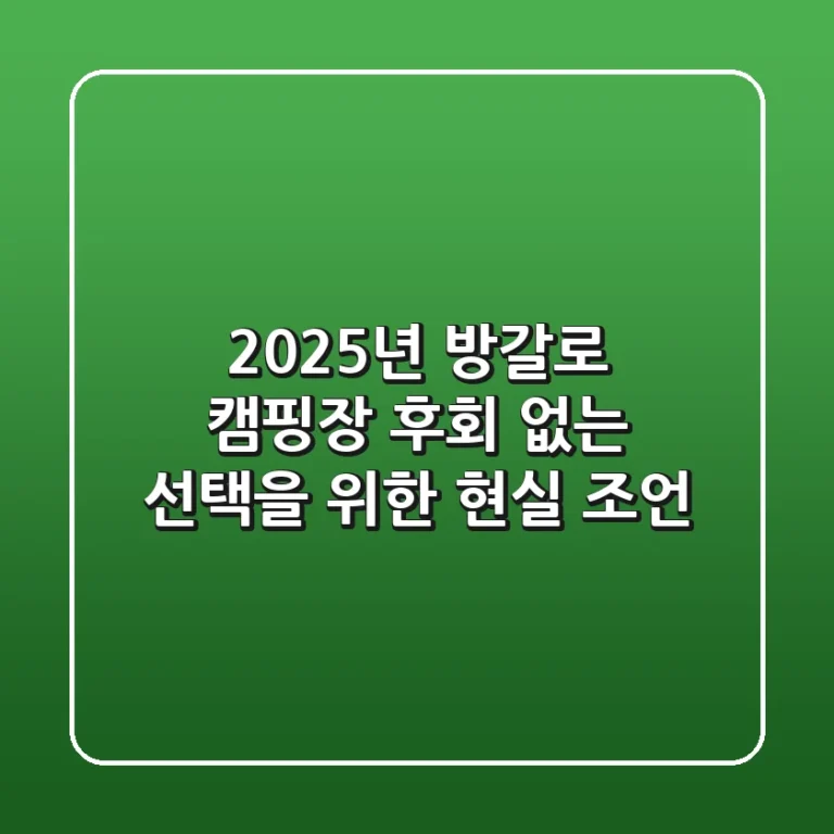 2025년 방갈로 캠핑장, 후회 없는 선택을 위한 현실 조언