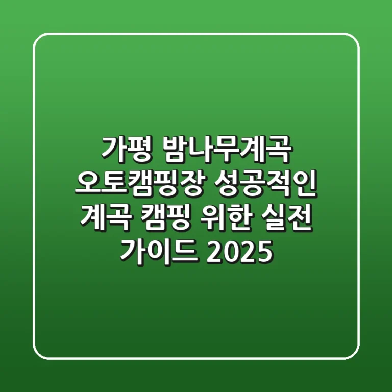 가평 밤나무계곡 오토캠핑장, 성공적인 계곡 캠핑 위한 실전 가이드 2025