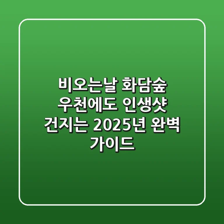 비오는날 화담숲: 우천에도 인생샷 건지는 2025년 완벽 가이드