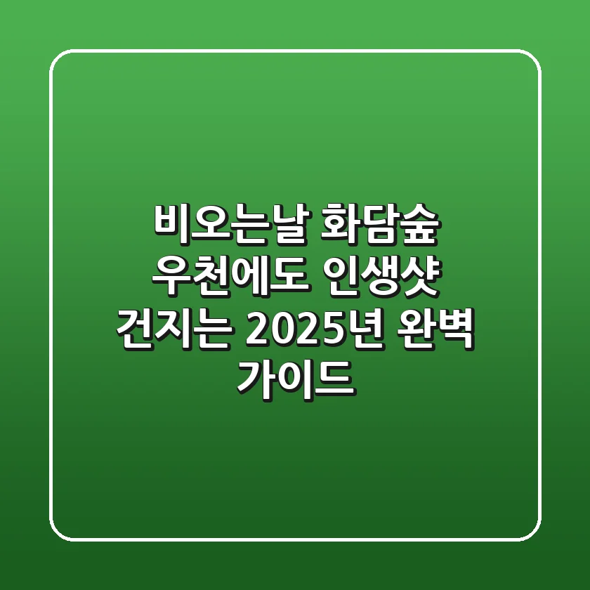 비오는날 화담숲: 우천에도 인생샷 건지는 2025년 완벽 가이드
