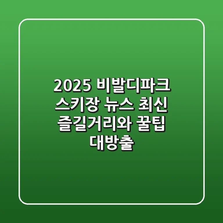 2025 비발디파크 스키장 뉴스: 최신 즐길거리와 꿀팁 대방출