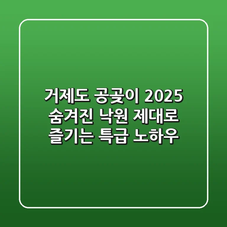 거제도 공곶이 2025: 숨겨진 낙원, 제대로 즐기는 특급 노하우