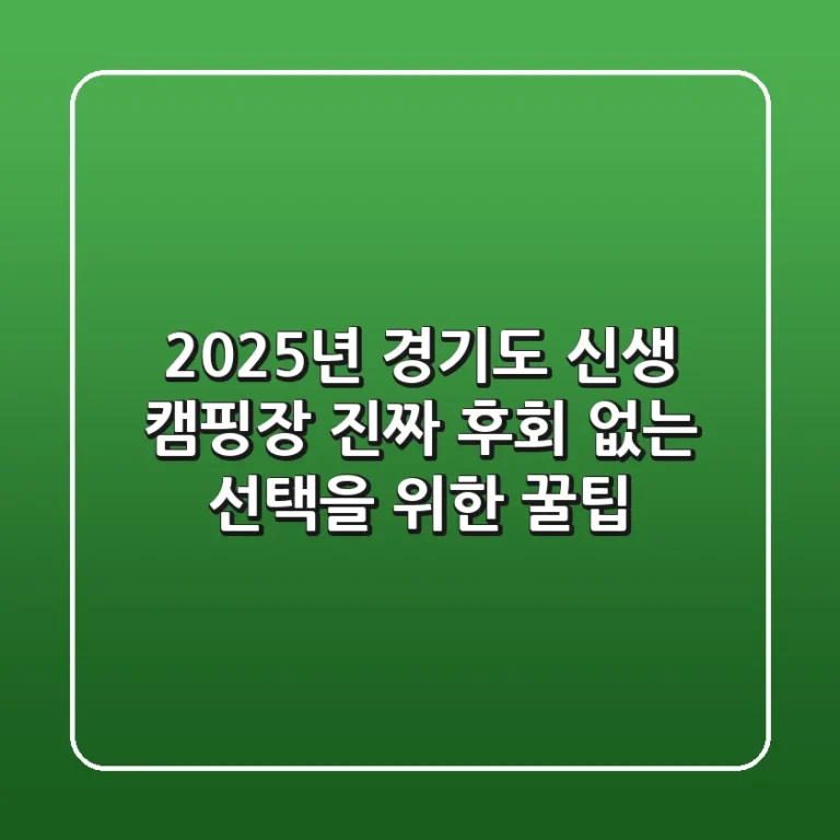2025년 경기도 신생 캠핑장: 진짜 후회 없는 선택을 위한 꿀팁!