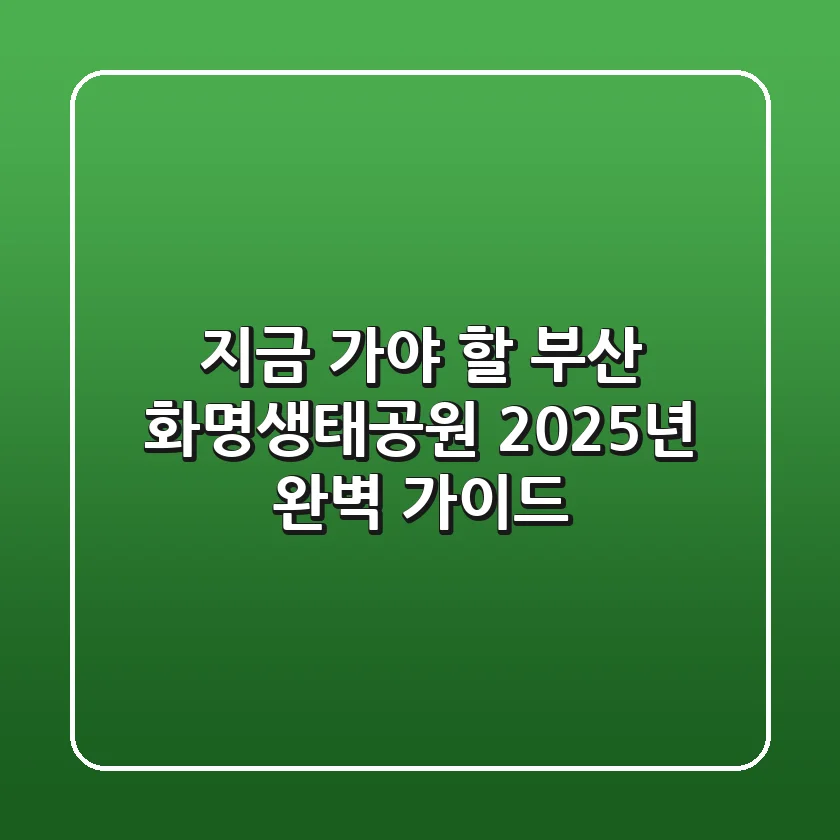 지금 가야 할 부산 화명생태공원: 2025년 완벽 가이드