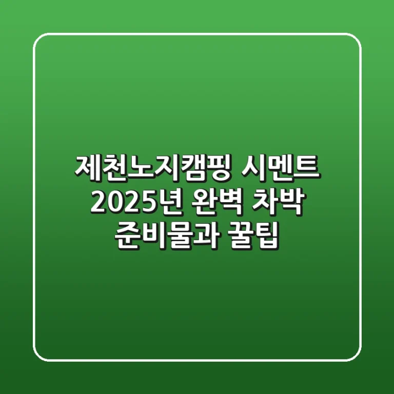 제천노지캠핑 시멘트? 2025년 완벽 차박 준비물과 꿀팁