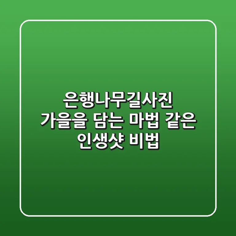 은행나무길사진: 가을을 담는 마법 같은 인생샷 비법