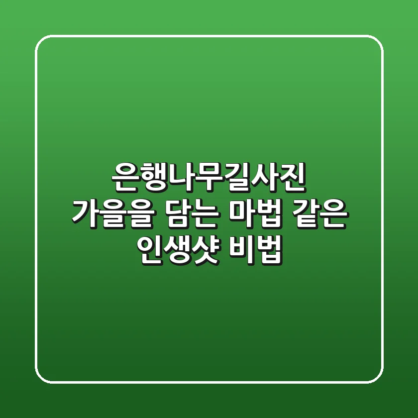 은행나무길사진: 가을을 담는 마법 같은 인생샷 비법