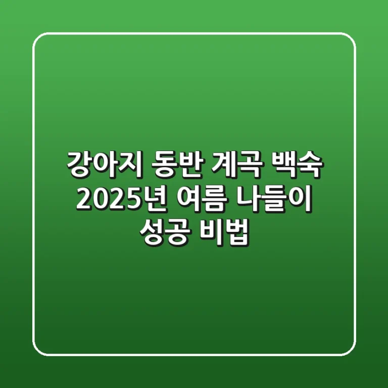 강아지 동반 계곡 백숙, 2025년 여름 나들이 성공 비법!