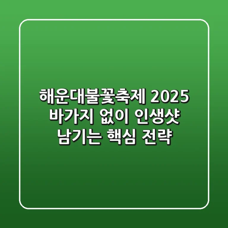 해운대불꽃축제 2025, 바가지 없이 인생샷 남기는 핵심 전략