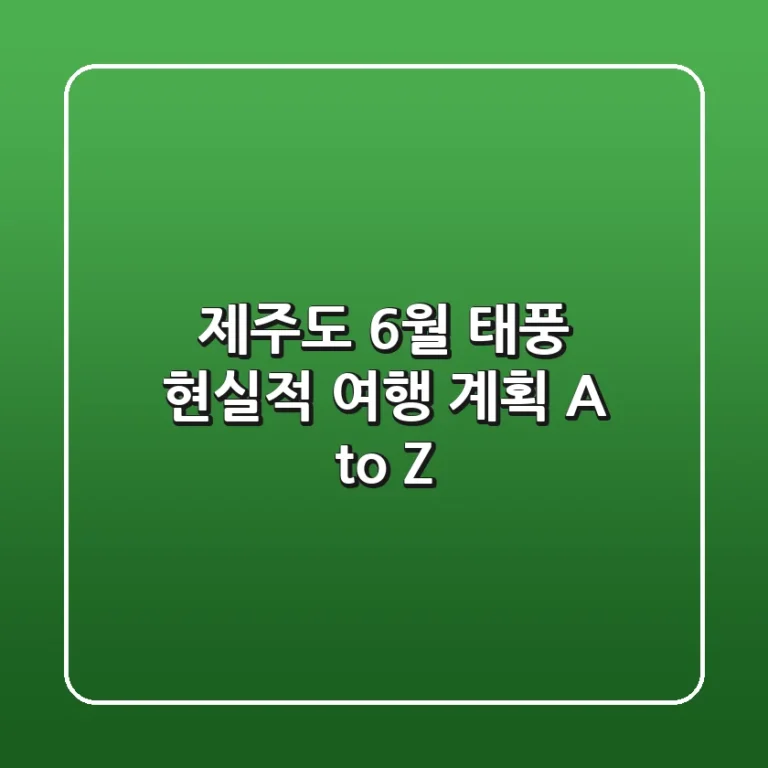 제주도 6월 태풍, 현실적 여행 계획 A to Z