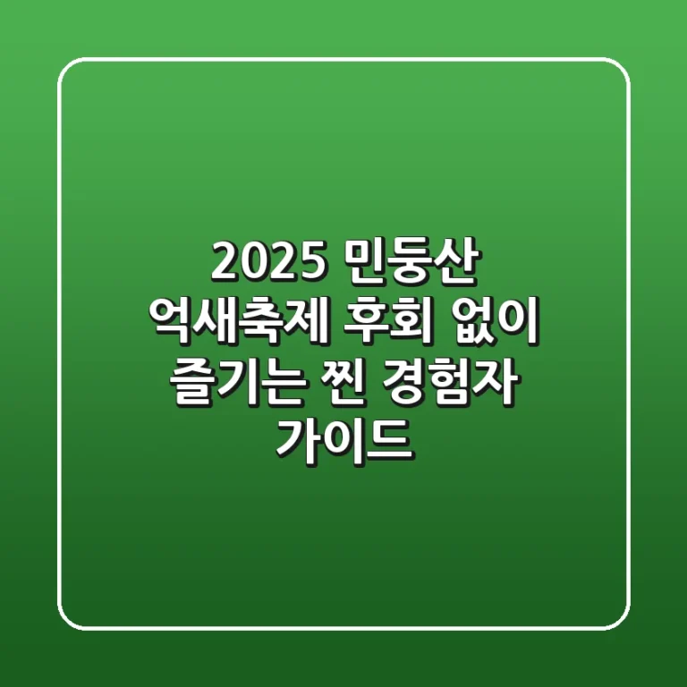 2025 민둥산 억새축제: 후회 없이 즐기는 찐 경험자 가이드