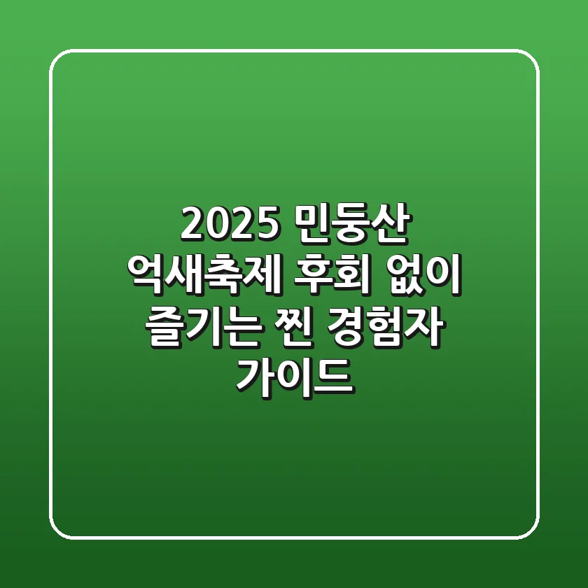 2025 민둥산 억새축제: 후회 없이 즐기는 찐 경험자 가이드