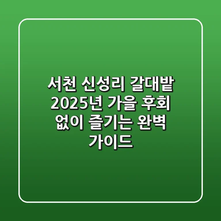 서천 신성리 갈대밭: 2025년 가을, 후회 없이 즐기는 완벽 가이드