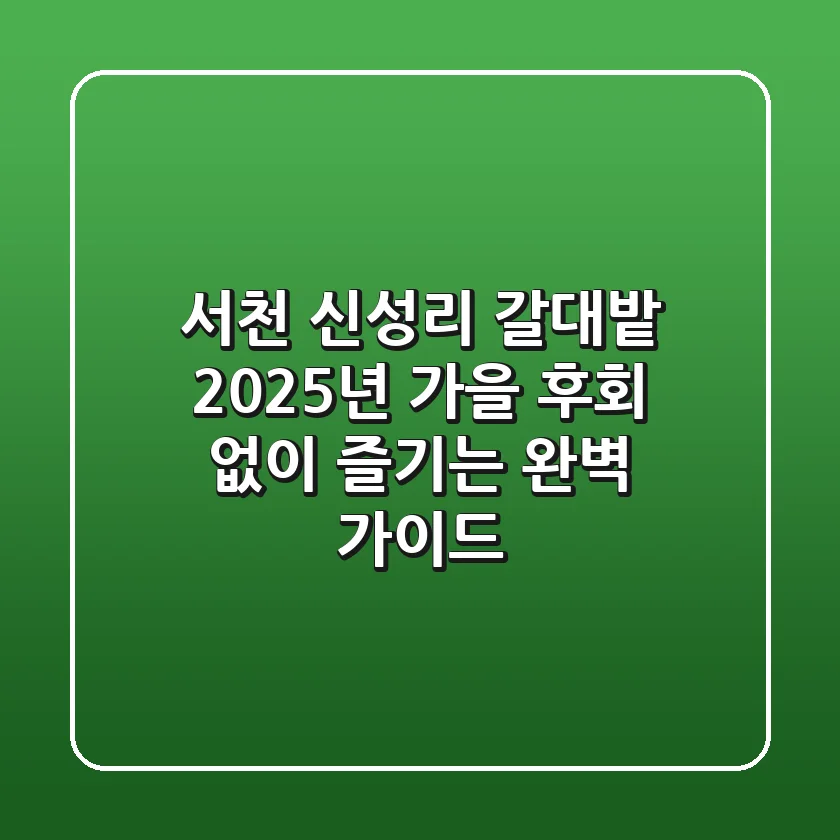 서천 신성리 갈대밭: 2025년 가을, 후회 없이 즐기는 완벽 가이드