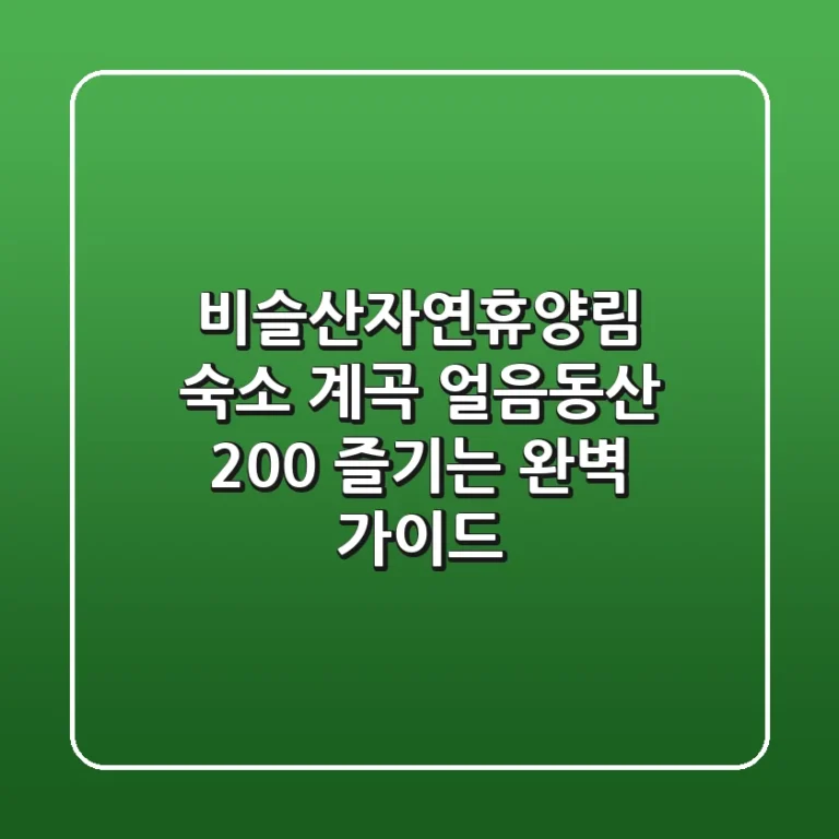 비슬산자연휴양림 숙소, 계곡, 얼음동산 200% 즐기는 완벽 가이드