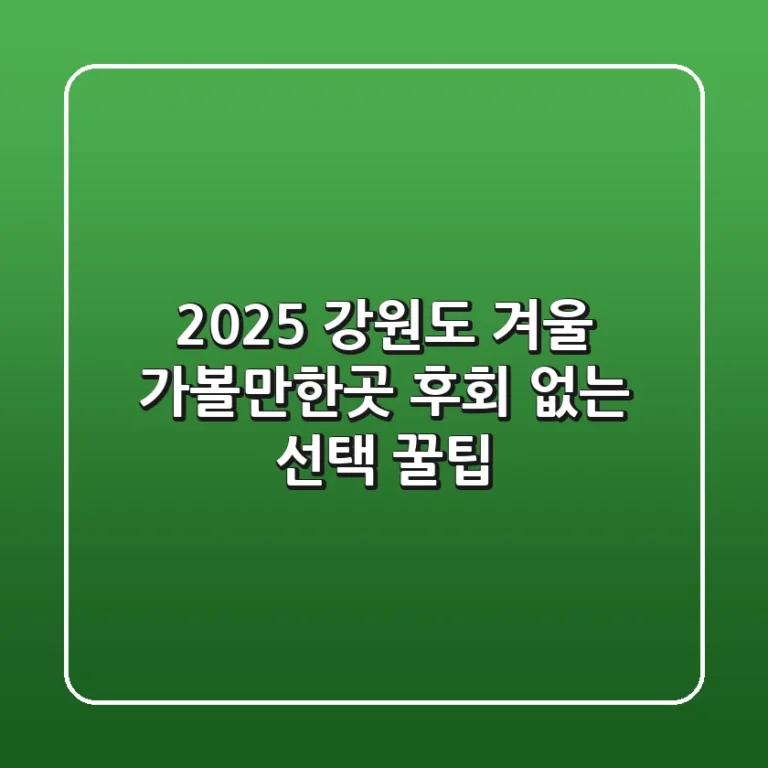 2025 강원도 겨울 가볼만한곳: 후회 없는 선택 꿀팁!