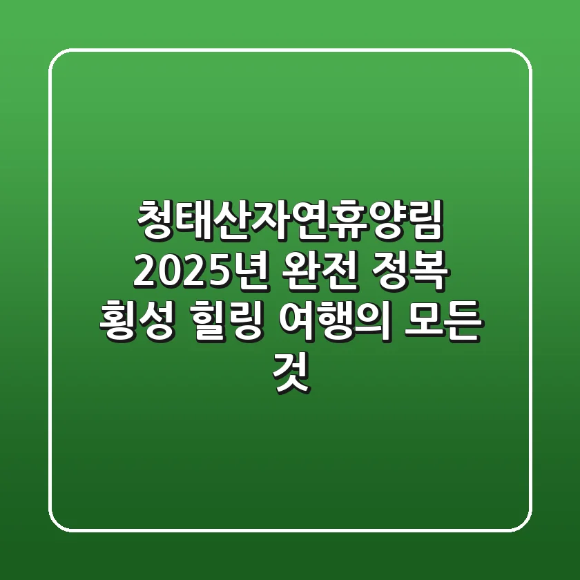 청태산자연휴양림 2025년 완전 정복: 횡성 힐링 여행의 모든 것!