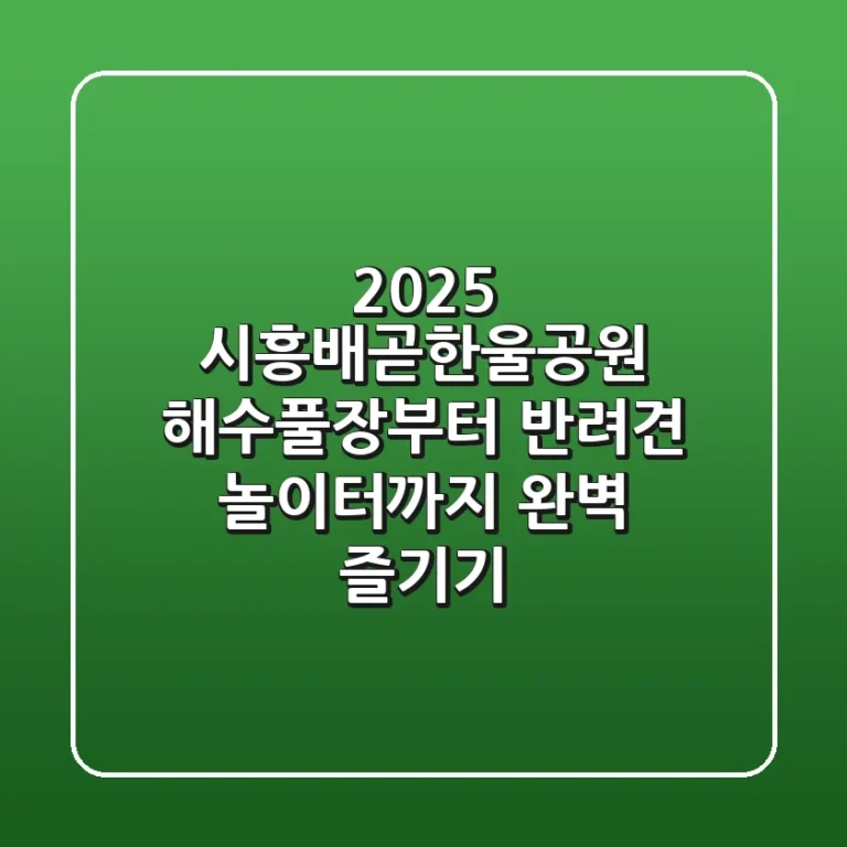 2025 시흥배곧한울공원: 해수풀장부터 반려견 놀이터까지 완벽 즐기기