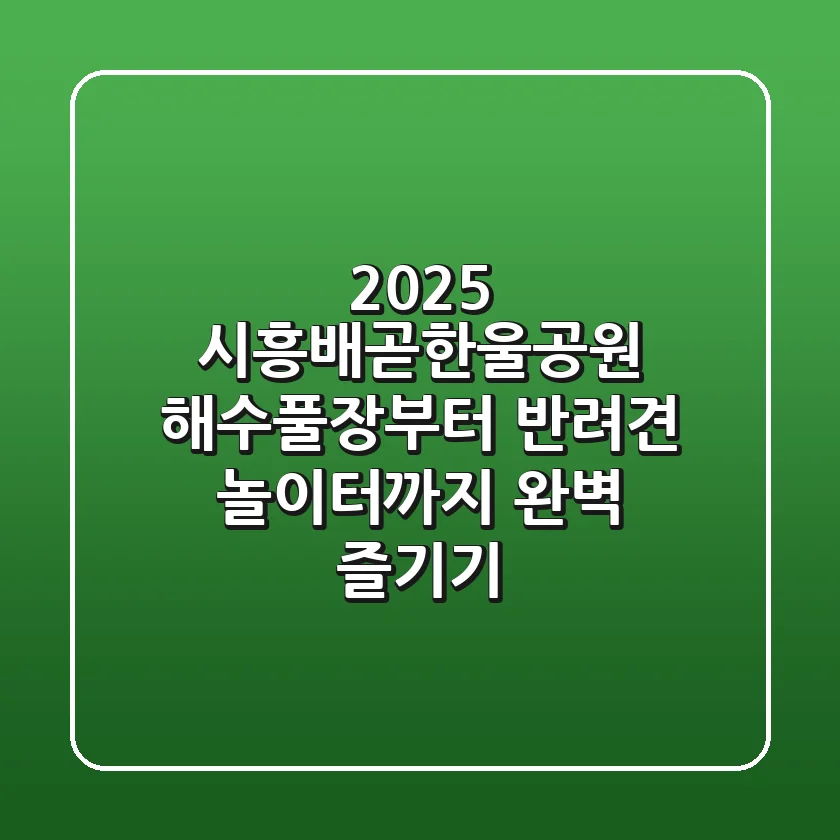 2025 시흥배곧한울공원: 해수풀장부터 반려견 놀이터까지 완벽 즐기기