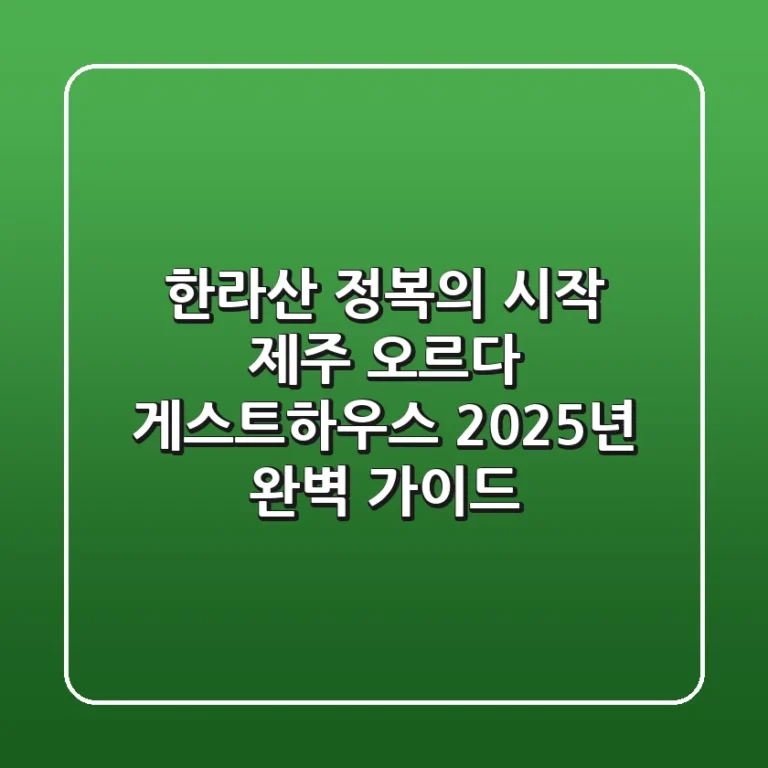 한라산 정복의 시작! 제주 오르다 게스트하우스 2025년 완벽 가이드