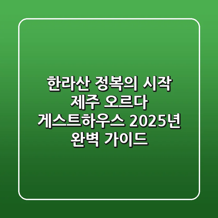 한라산 정복의 시작! 제주 오르다 게스트하우스 2025년 완벽 가이드