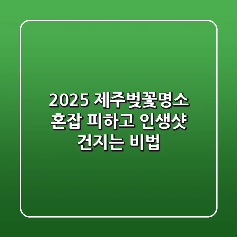 2025 제주벚꽃명소, 혼잡 피하고 인생샷 건지는 비법