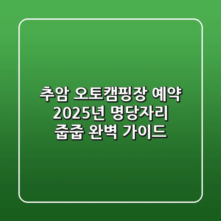 추암 오토캠핑장 예약, 2025년 명당자리 줍줍 완벽 가이드