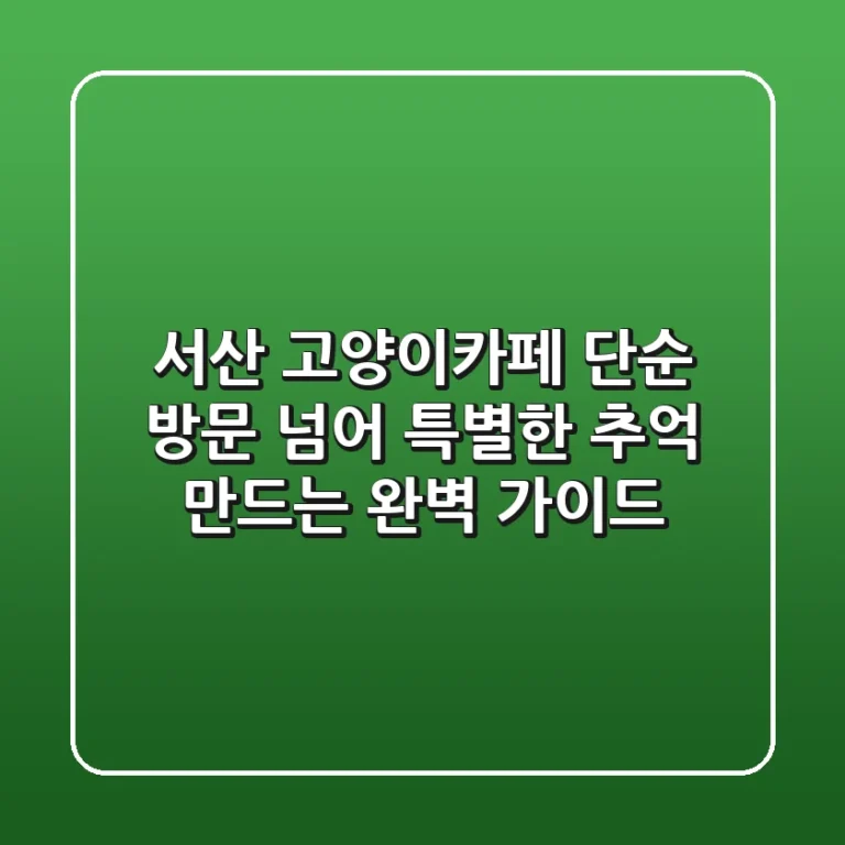 서산 고양이카페: 단순 방문 넘어 특별한 추억 만드는 완벽 가이드