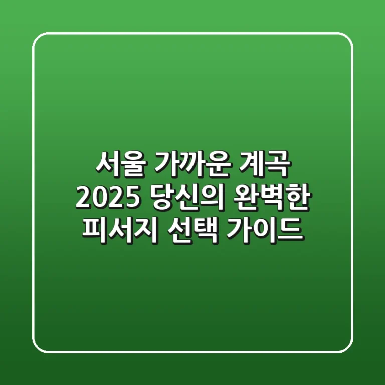 서울 가까운 계곡, 2025 당신의 완벽한 피서지 선택 가이드