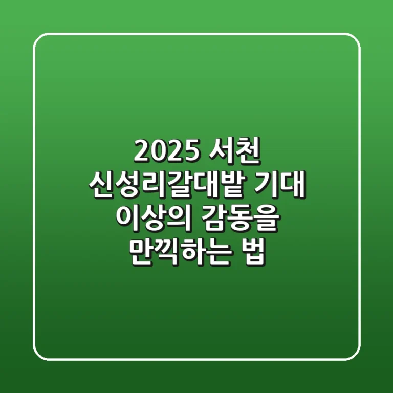 2025 서천 신성리갈대밭, 기대 이상의 감동을 만끽하는 법