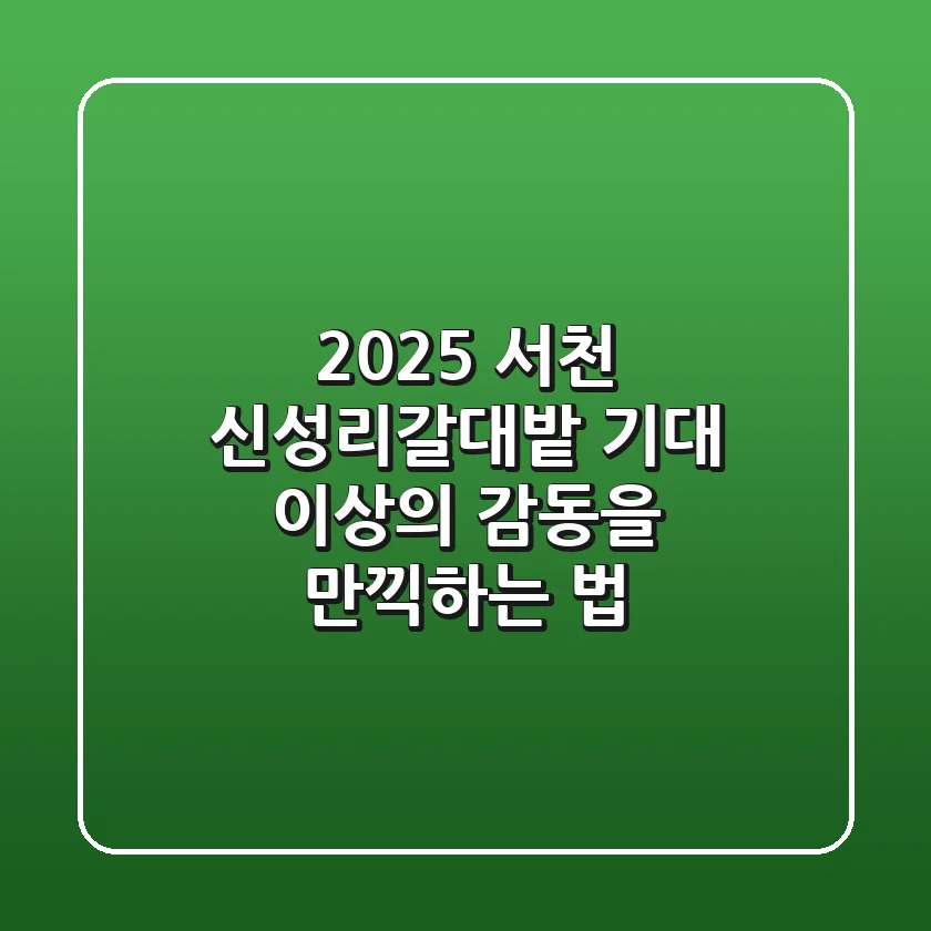2025 서천 신성리갈대밭, 기대 이상의 감동을 만끽하는 법