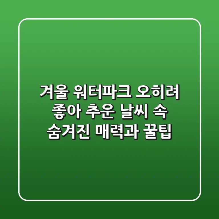 겨울 워터파크, 오히려 좋아! 추운 날씨 속 숨겨진 매력과 꿀팁