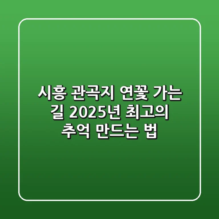 시흥 관곡지 연꽃 가는 길, 2025년 최고의 추억 만드는 법