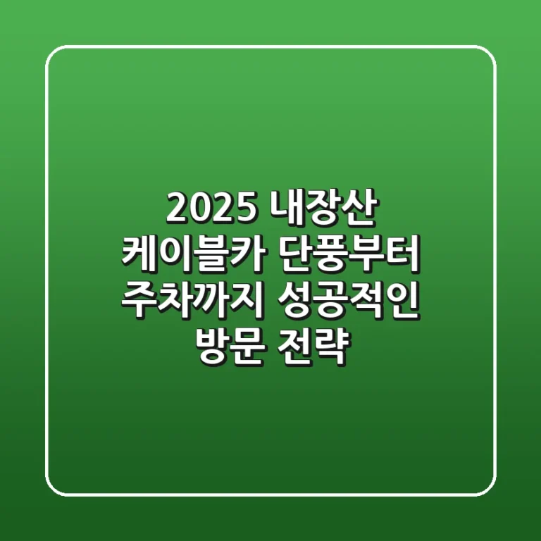 2025 내장산 케이블카: 단풍부터 주차까지 성공적인 방문 전략