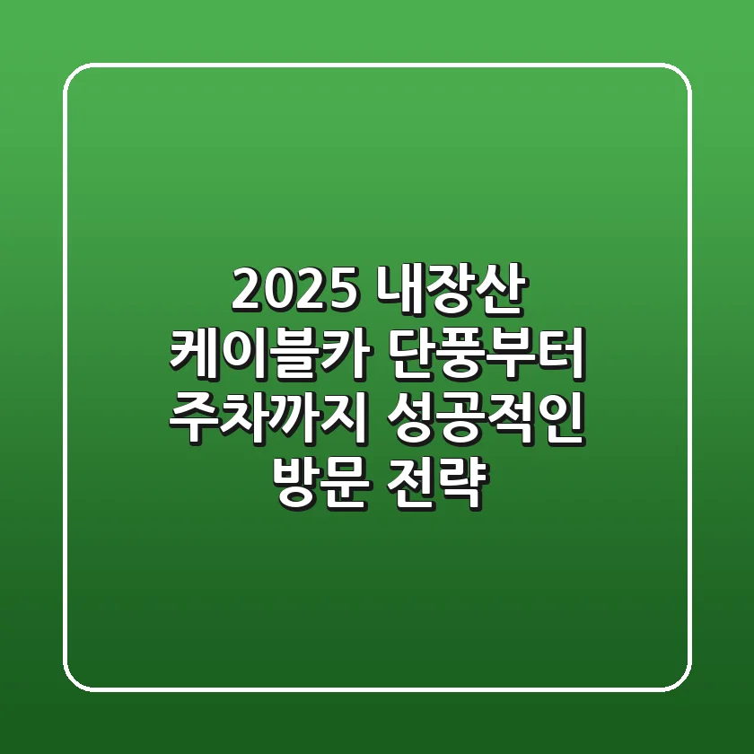2025 내장산 케이블카: 단풍부터 주차까지 성공적인 방문 전략