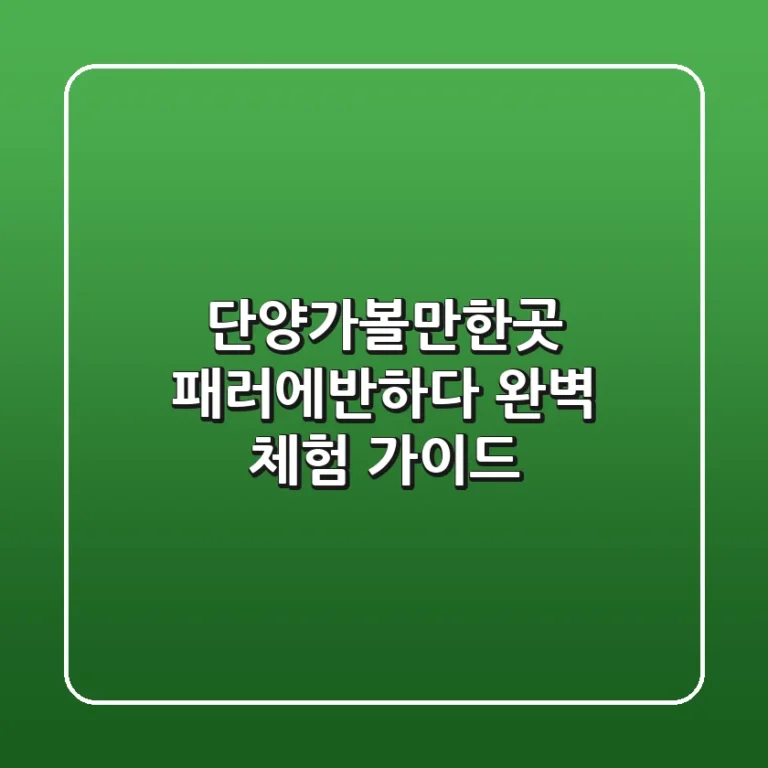 단양가볼만한곳, 패러에반하다 완벽 체험 가이드