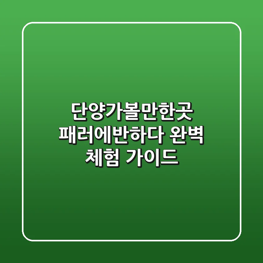 단양가볼만한곳, 패러에반하다 완벽 체험 가이드