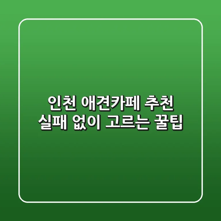 인천 애견카페 추천, 실패 없이 고르는 꿀팁!