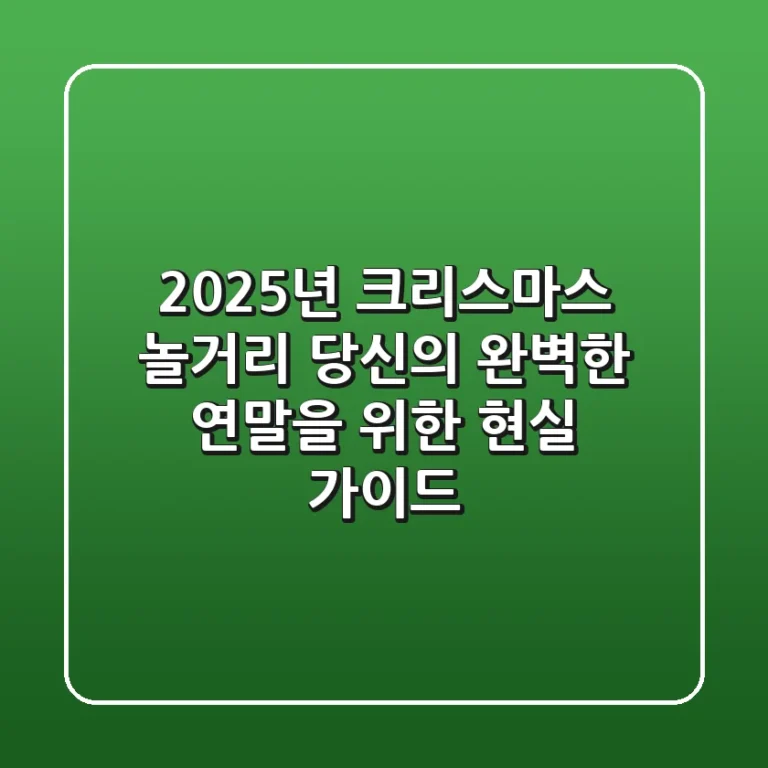 2025년 크리스마스 놀거리: 당신의 완벽한 연말을 위한 현실 가이드