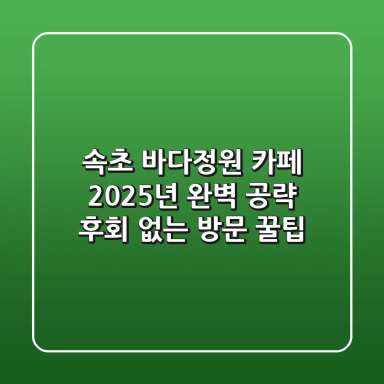 속초 바다정원 카페: 2025년 완벽 공략! 후회 없는 방문 꿀팁