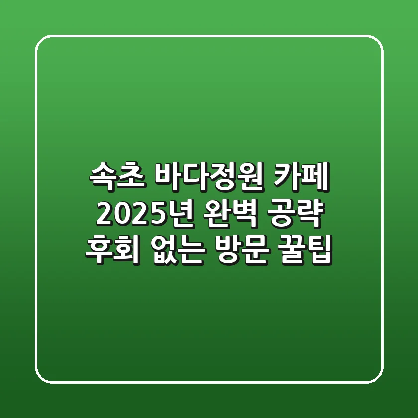속초 바다정원 카페: 2025년 완벽 공략! 후회 없는 방문 꿀팁