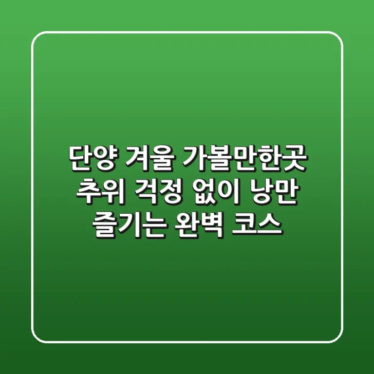 단양 겨울 가볼만한곳, 추위 걱정 없이 낭만 즐기는 완벽 코스!